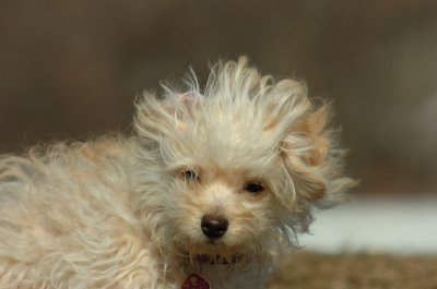 Feb21_07_680.JPG