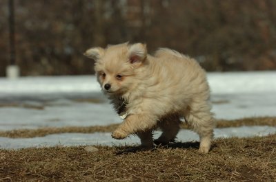 Feb21_07_686.JPG