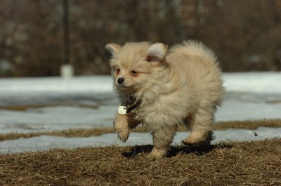 Feb21_07_687.JPG