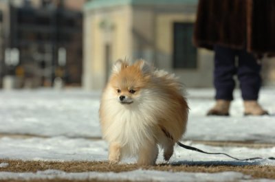 Feb21_07_692.JPG