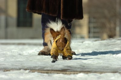 Feb21_07_695.JPG