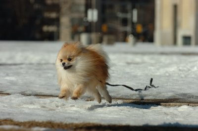 Feb21_07_702.JPG