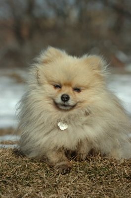 Feb21_07_469.JPG