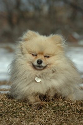 Feb21_07_470.JPG