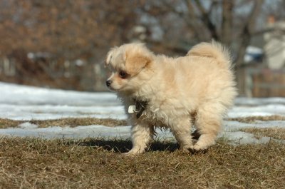 Feb21_07_475.JPG