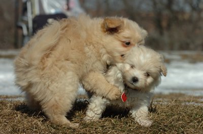 Feb21_07_478.JPG