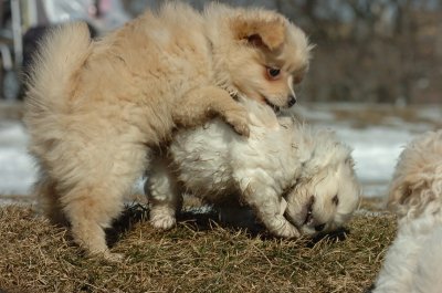 Feb21_07_479.JPG