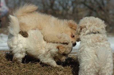 Feb21_07_480.JPG