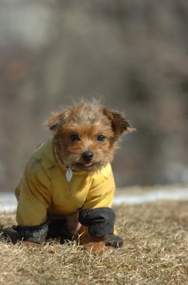 Feb21_07_482.JPG