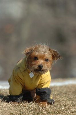 Feb21_07_483.JPG
