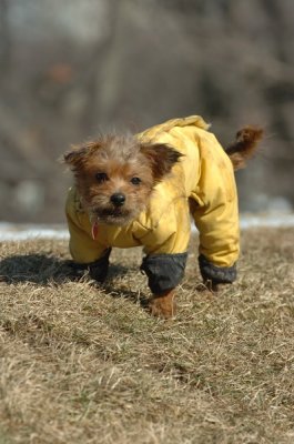 Feb21_07_484.JPG