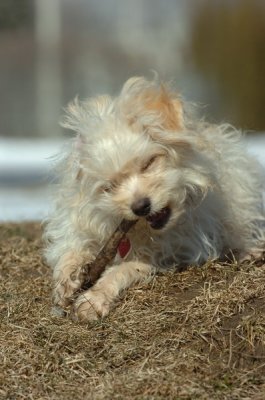 Feb21_07_486.JPG