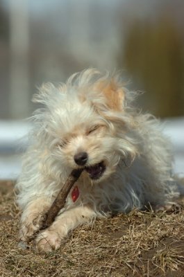 Feb21_07_488.JPG