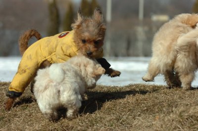 Feb21_07_493.JPG