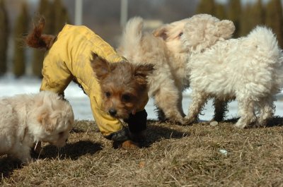 Feb21_07_494.JPG