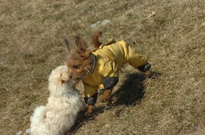 Feb21_07_495.JPG