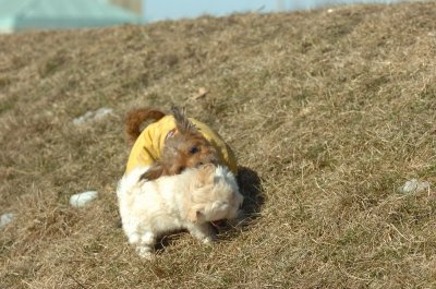Feb21_07_496.JPG