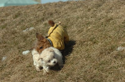 Feb21_07_497.JPG