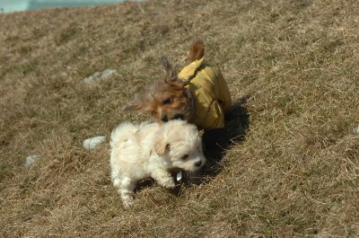 Feb21_07_498.JPG