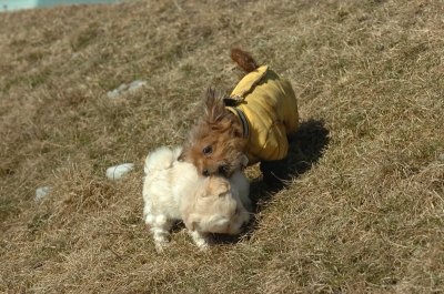 Feb21_07_499.JPG
