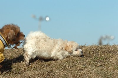 Feb21_07_500.JPG