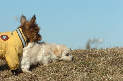 Feb21_07_501.JPG
