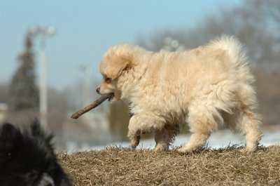 Feb21_07_510.JPG
