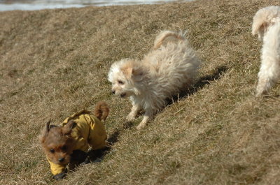 Feb21_07_515.JPG
