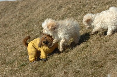 Feb21_07_516.JPG