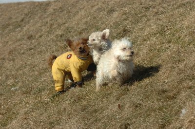 Feb21_07_517.JPG