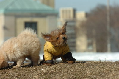 Feb21_07_518.JPG