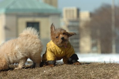 Feb21_07_519.JPG