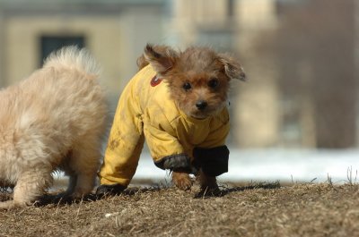 Feb21_07_524.JPG