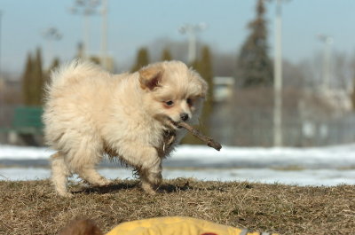 Feb21_07_530.JPG