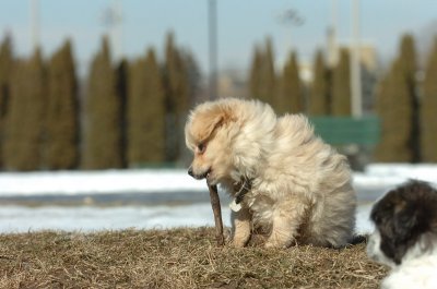 Feb21_07_534.JPG