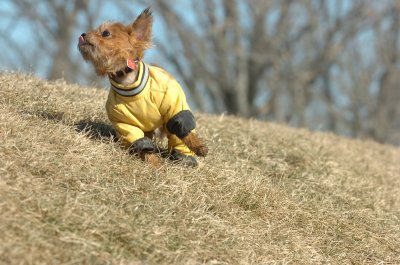 Feb21_07_536.JPG