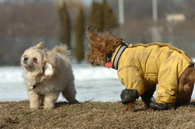 Feb21_07_545.JPG