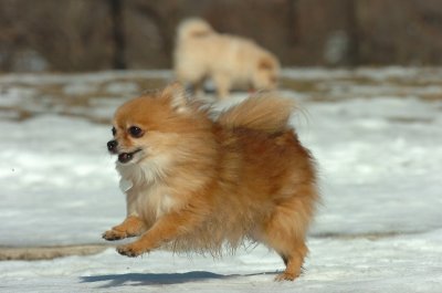 Feb21_07_050.JPG
