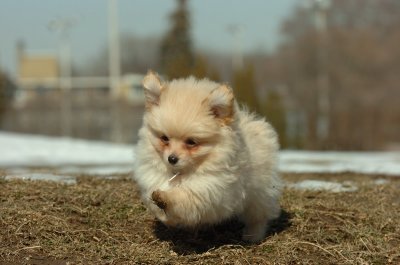Feb21_07_057.JPG