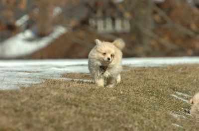 Feb21_07_058.JPG