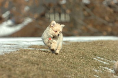 Feb21_07_059.JPG