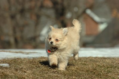 Feb21_07_062.JPG