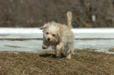 Feb21_07_070.JPG