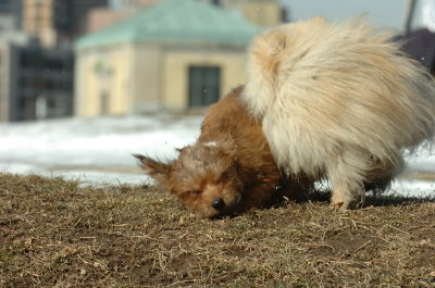 Feb21_07_075.JPG