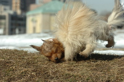 Feb21_07_076.JPG