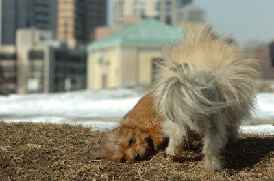 Feb21_07_077.JPG