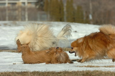 Feb21_07_079.JPG