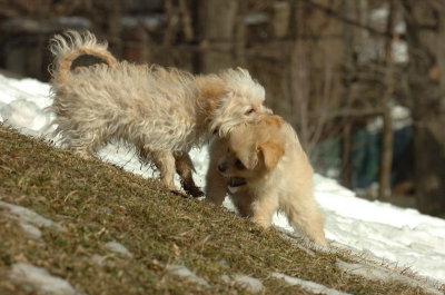 Feb21_07_087.JPG