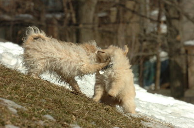 Feb21_07_088.JPG