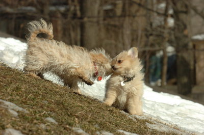 Feb21_07_089.JPG
